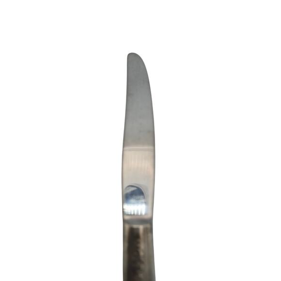 Vtg Tudor Oneida Queen Bess II Stainless Dinner Knife 9in 1946 Floral Pat Design - Picture 6 of 7